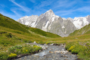 Fototapeta na wymiar Alpine stream with Grand Jorasses glacier