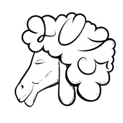 2015 sheep