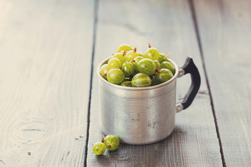 Green gooseberries in a aluminum cup