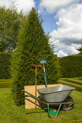 Garden tools leaning upright against a tree, In a knot garden © jlcst