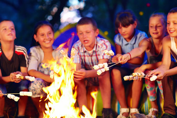 happy kids roasting marshmallows on campfire © Olesia Bilkei