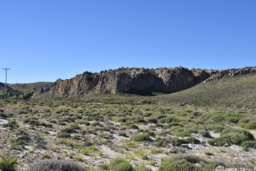 Estepa Patagonica - Bariloche - Argentina