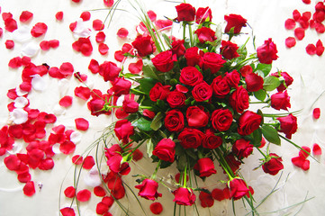 Red roses_1