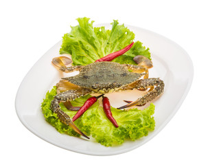 Raw crab