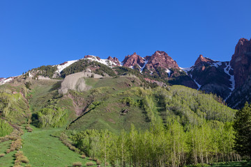 Summer Mountain Landscape