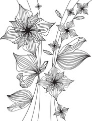 floral design, outline drawing