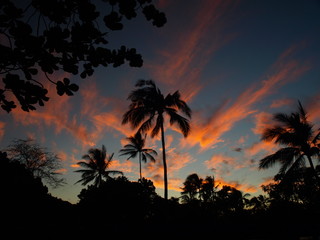 Fototapeta na wymiar Hawaii Big Island Sunset Palms Moon-19