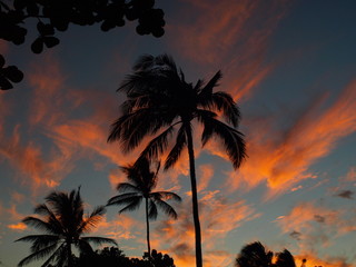 Hawaii Big Island Sunset Palms Moon-18