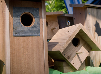 Birdhouse