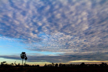 Naklejka na ściany i meble An early morning view of the sky and clouds in rural Thailand.