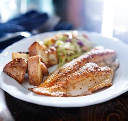 Poster pan fried tilapia with asian slaw and roasted potatoes © Joshua Resnick