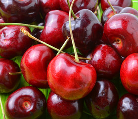 cherry berry  on  background
