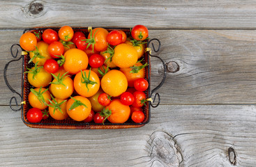 Naklejka na ściany i meble Fresh Whole Tomatoes in Basket