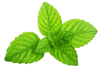 Green mint leaves isolated © Valentina R.