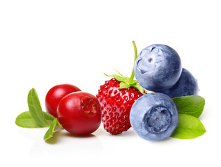 Forest berry cowberry