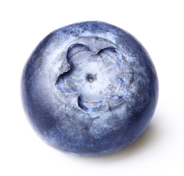 Blueberry isolated