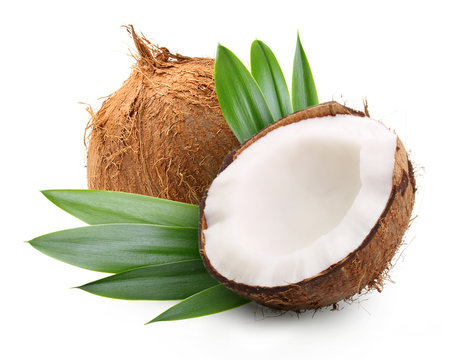 Coconut with palm leaves