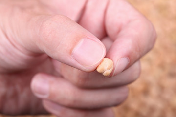 Chick-Pea in the fingers