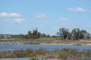 Natural Park of La Mata