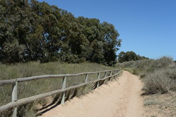 Fototapeta na wymiar Natural Park of La Mata