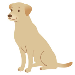 犬　レトリバー　盲導犬