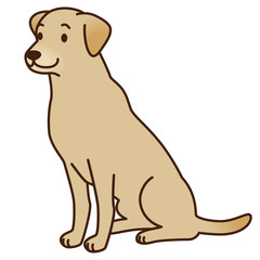 犬　レトリバー　盲導犬