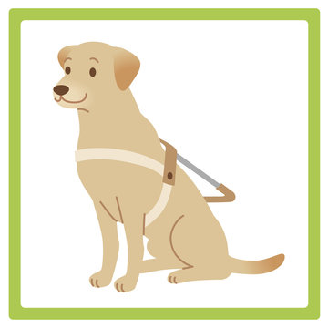 747 Best 盲導犬 Images Stock Photos Vectors Adobe Stock 747 Best 盲導犬 Images Stock Photos Vectors Adobe Stock