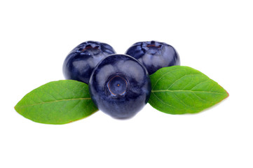 Blueberries isolated on white