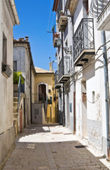 Fototapeta premium Alleyway. Acerenza. Basilicata. Italy.