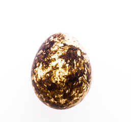 Quail eggs isolated