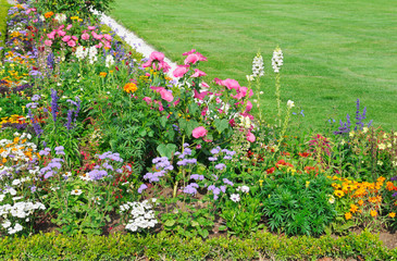 flowers  and green lawn