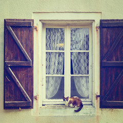 Cat on the Window