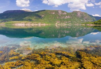 Obraz premium Norway fjord in summer