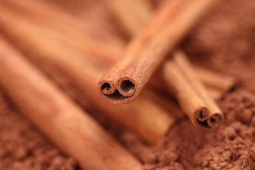 Cinnamon sticks on cocoa powder