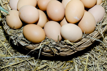 Eggs in a Basket
