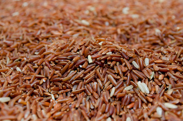 Red Rice