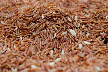 Red Rice
