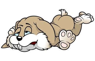 Tired Rabbit