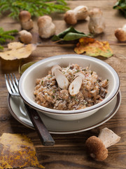 Risotto with mushroom
