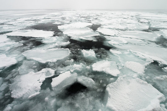 Drift Ice of Okhotsk Sea (オホーツク海流氷) in Shiretoko Hokkaido, Japan