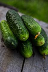 cucumbers