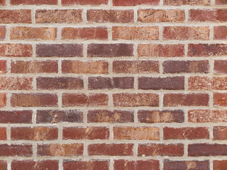 レンガの壁