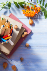 Pencils books concept back school autumn fruit