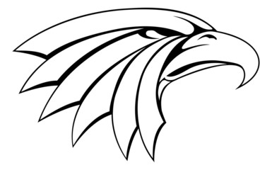 Eagle head illustration