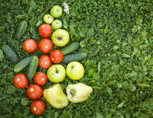 Fruits and vegetables lying in the grass.