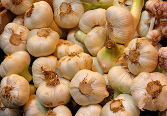 A Display of Fresh Garlic Bulbs for Sale.