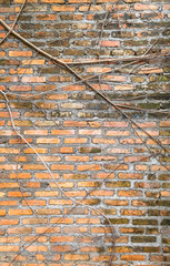 old brick wall background texture