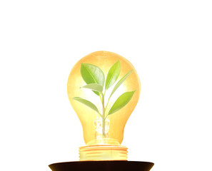 Fototapeta premium Clean energy concept