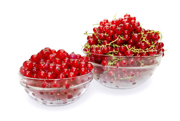 red currant in glass bowl