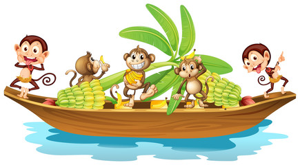 Monkey on boat